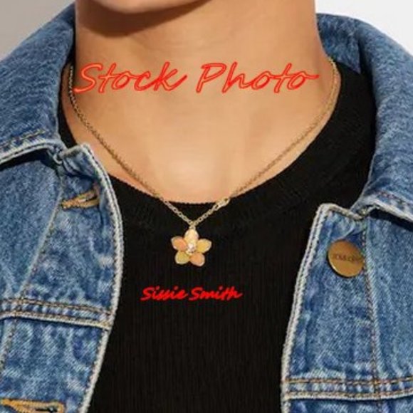 NWT Coach Transparent Wildflower Necklace - Picture 4 of 6